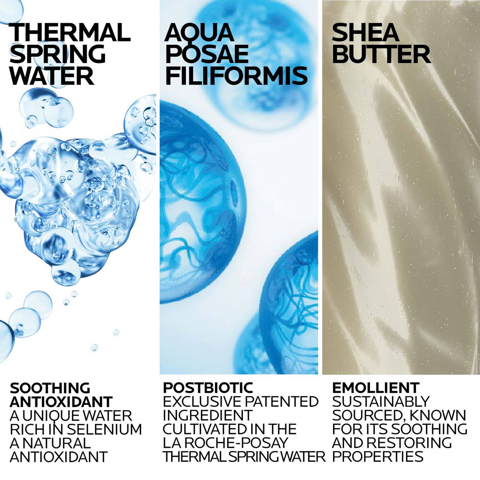 lipikar-wash-ap-moisturizing-body-and-face-wash-t1 Lipikar-Wash-ingredients_1500x1500-REV.jpg